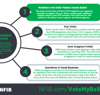 New NFIB Member Ballot: Your Vote in the Fight for Main Street