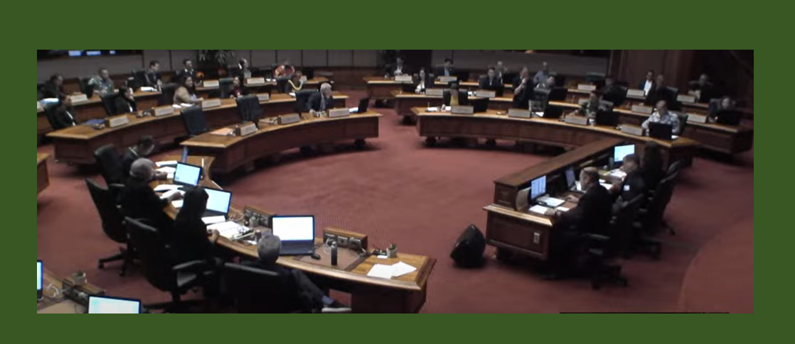 2024 Small Business Challenges in the Hawaii State Legislature