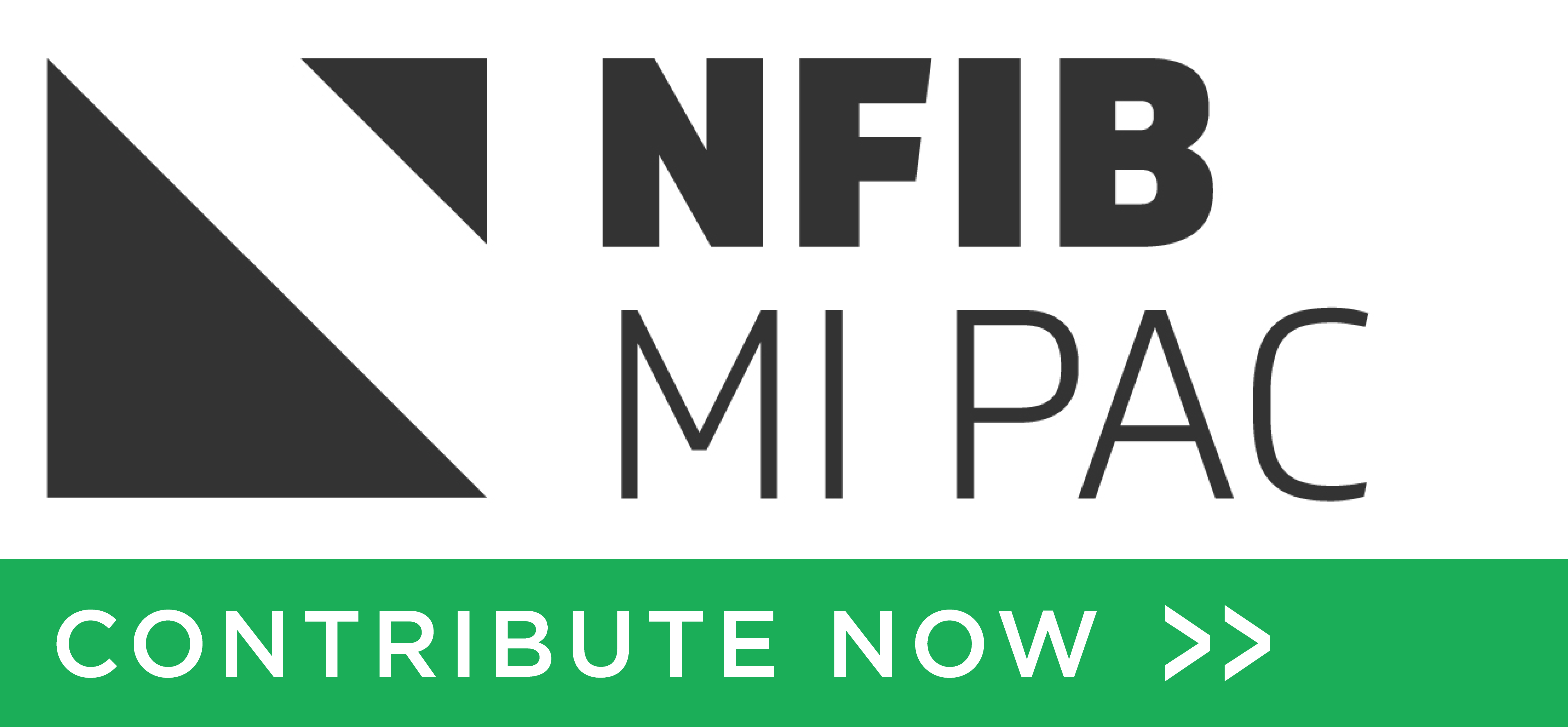 Michigan State PAC Logo