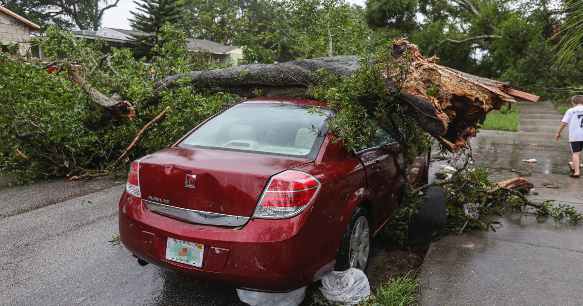 Tropical Storm Beryl: Navigating the Claims Process