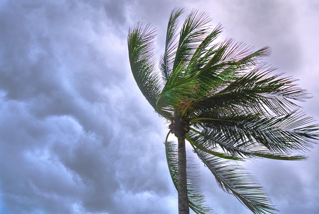 Preparing Your Small Business for Hurricane Helene